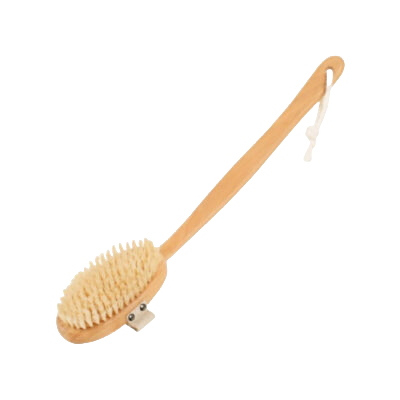 Brosse à Dos en Soie naturelle