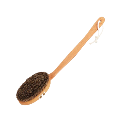 Brosse à Dos en Crin de cheval