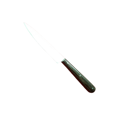 Couteau office Nontron 12 cm