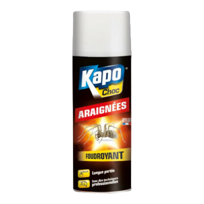 Kapo Choc Araignées