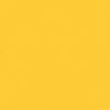 Teinture Laine Jaune d'Or